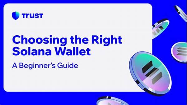 Installing Solana Wallet For Beginners