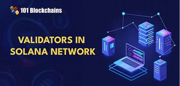 Solana Network Role Assignment