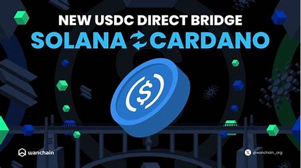 Solana On-chain Transfer Instructions