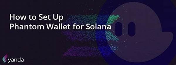 Solana Wallet Configuration Process