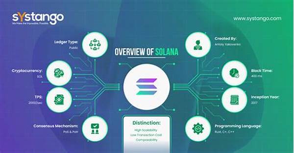 Blockchain Security On Solana Platform