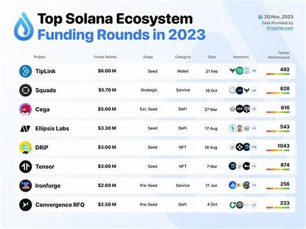 “funding Innovations Within Solana Ecosystem”