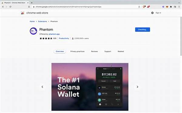 Setting Up Solana Wallet On Laptop