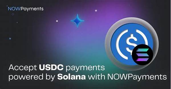 “best Solana To Usdc Exchange”