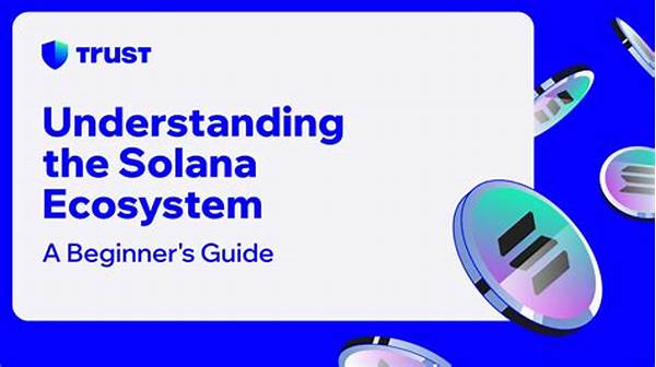 Navigating Solana Ecosystem As A Beginner