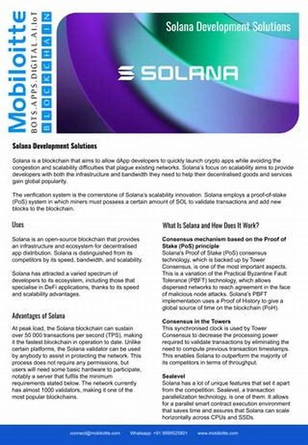 Solana Blockchain Permission System