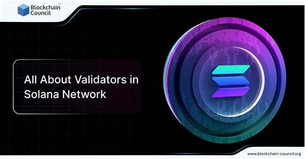 Solana Network Transaction Validators