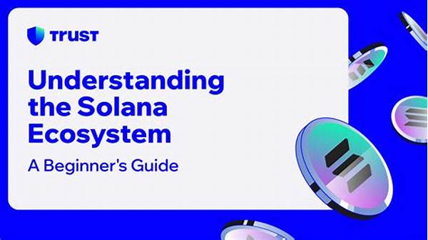 Understanding Solana Ecosystem Basics