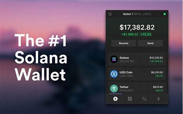 Solana Wallet User Interface Customization