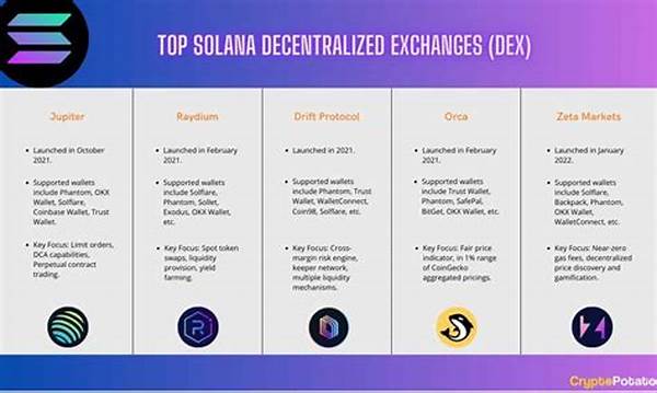 Popular Solana Decentralized Finance Initiatives