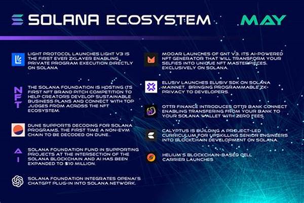 Protecting Assets In Solana Ecosystem