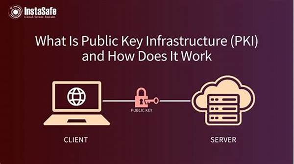 Public Key Infrastructure Systems