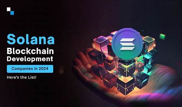 “solana Identity Management Solutions”