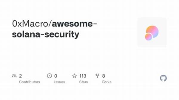 Enhancing Code Security For Solana