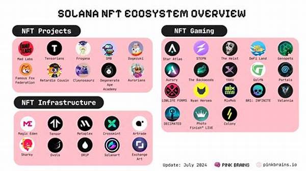 Nft Ecosystem Solana And Polygon