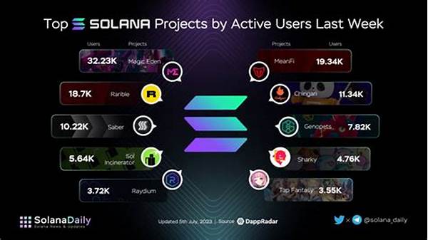 Risk Management In Solana Nft Trading