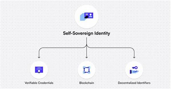 **self-sovereign Identity Management Platforms**