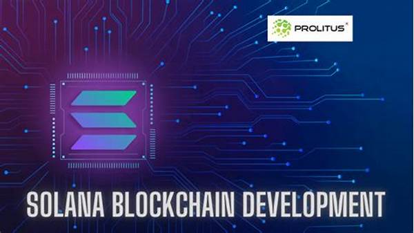 Solana Blockchain Development Environment