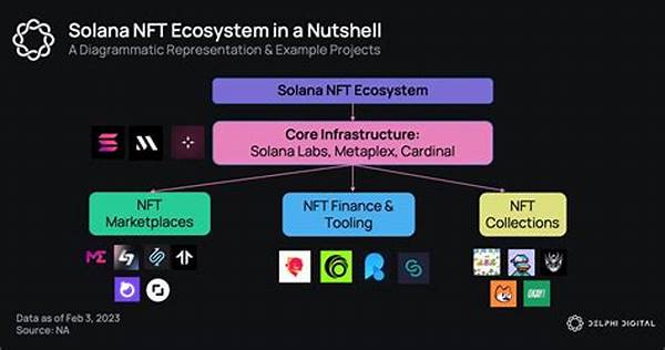 Solana Nft Ecosystem Developments