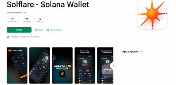 Solflare Wallet Installation Steps
