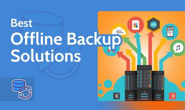 Offline Storage Solutions For Sol