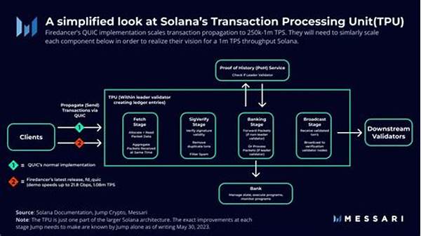 Solana Network Rapid Transaction Processing