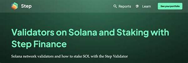 Step-by-step Solana Staking Process