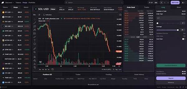 Solana Terminal Interface Introduction