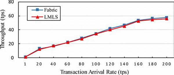 Limited Transaction Throughput Rates
